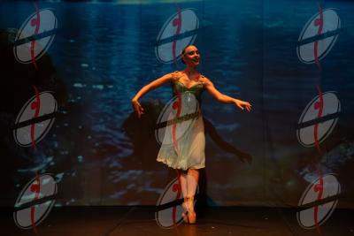 SHOW_00397.jpg